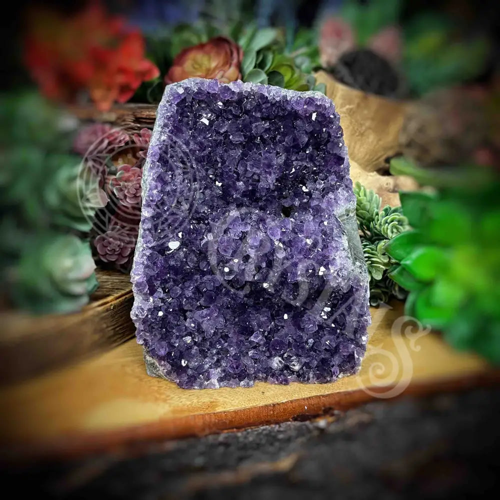 Amethyst - Cluster Set25 Z277-4.2’ X 4.5’ 5.8’ Crystals