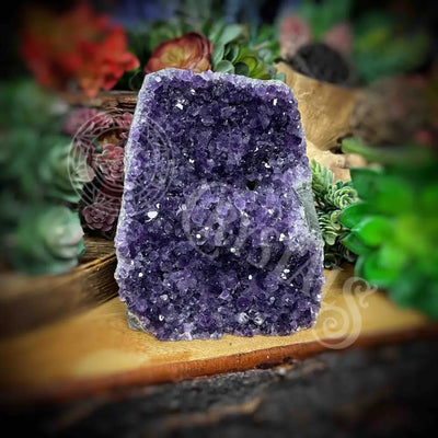 Amethyst - Cluster Set25 Z277-4.2’ X 4.5’ 5.8’ Crystals