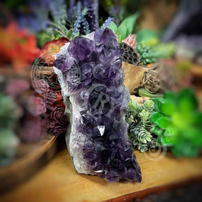 Amethyst - Cluster Set26 Z287-5.8’ X 3.3’ 7.3’ Crystals