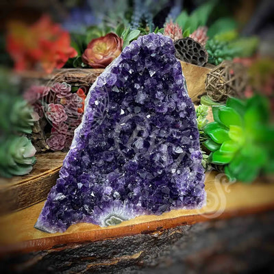 Amethyst - Cluster Set27 Z296-5.2’ X 6.6’ Crystals