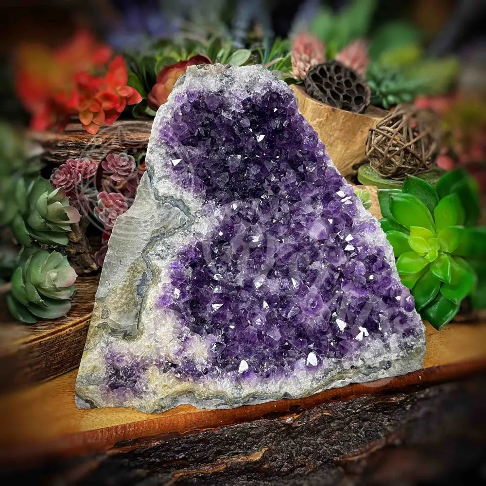 Amethyst - Cluster Set27 Z301-5.1’ X 8’ 6.6’ Crystals