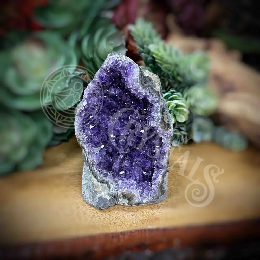 Amethyst - Cluster Set3 Z069-2.8’ X 2’ 2.9’ Crystals