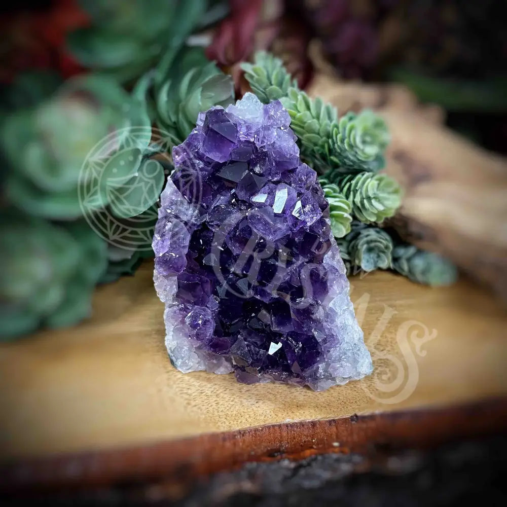 Amethyst - Cluster Set6 Z068-2.4’ X 2.6’ 3’ Crystals