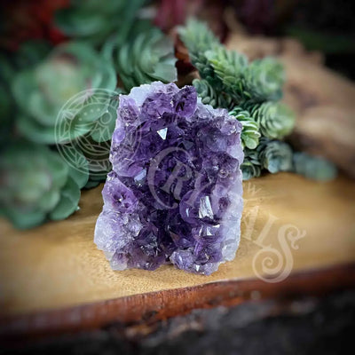 Amethyst - Cluster Set7 Z080-2.5’ X 2.1’ 2.8’ Crystals