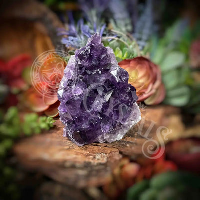 Amethyst - Cluster Set9 Z117-2.5’ X 2.6’ 3’ Crystals