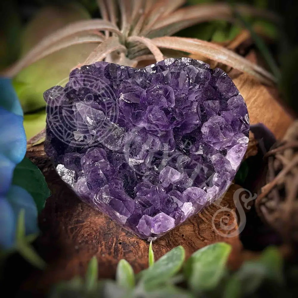 Amethyst Druzy Heart - F316 F316-Amdzht Crystals