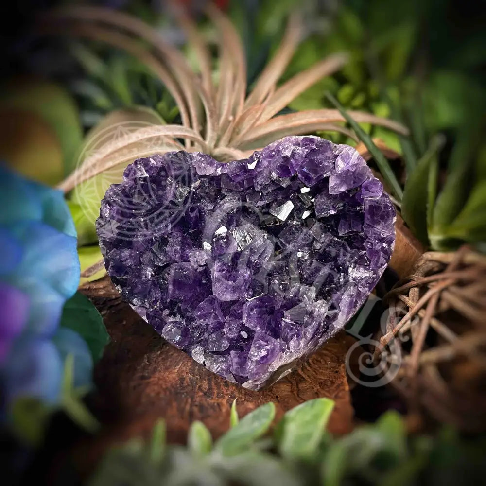 Amethyst Druzy Heart - F317 F317-Amdzht Crystals