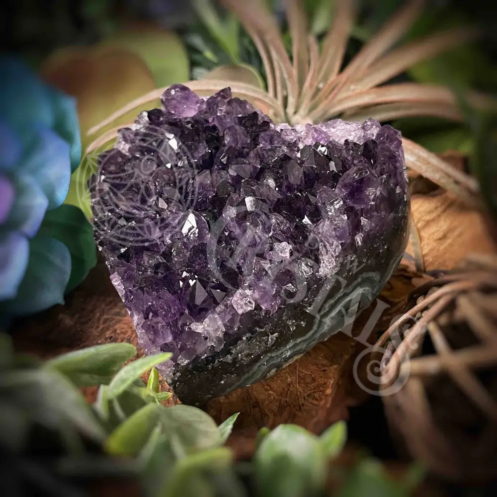 Amethyst Druzy Heart - F319 F319-Amdzht Crystals