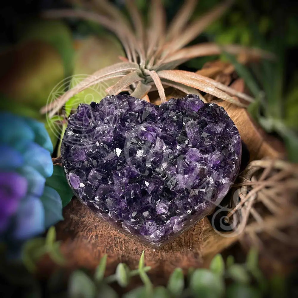 Amethyst Druzy Heart - F321 F321-Amdzht Crystals