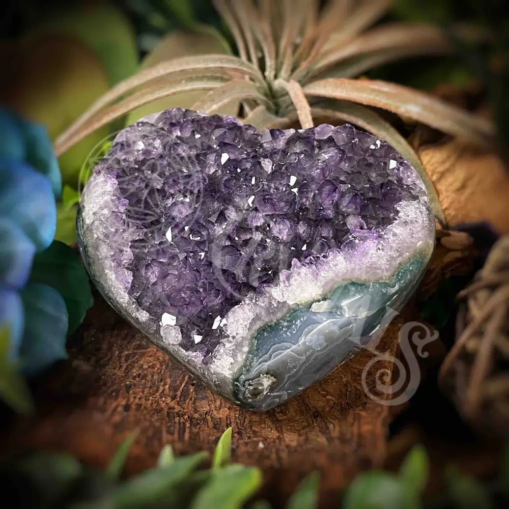 Amethyst Druzy Heart - F323 F323-Amdzht Crystals