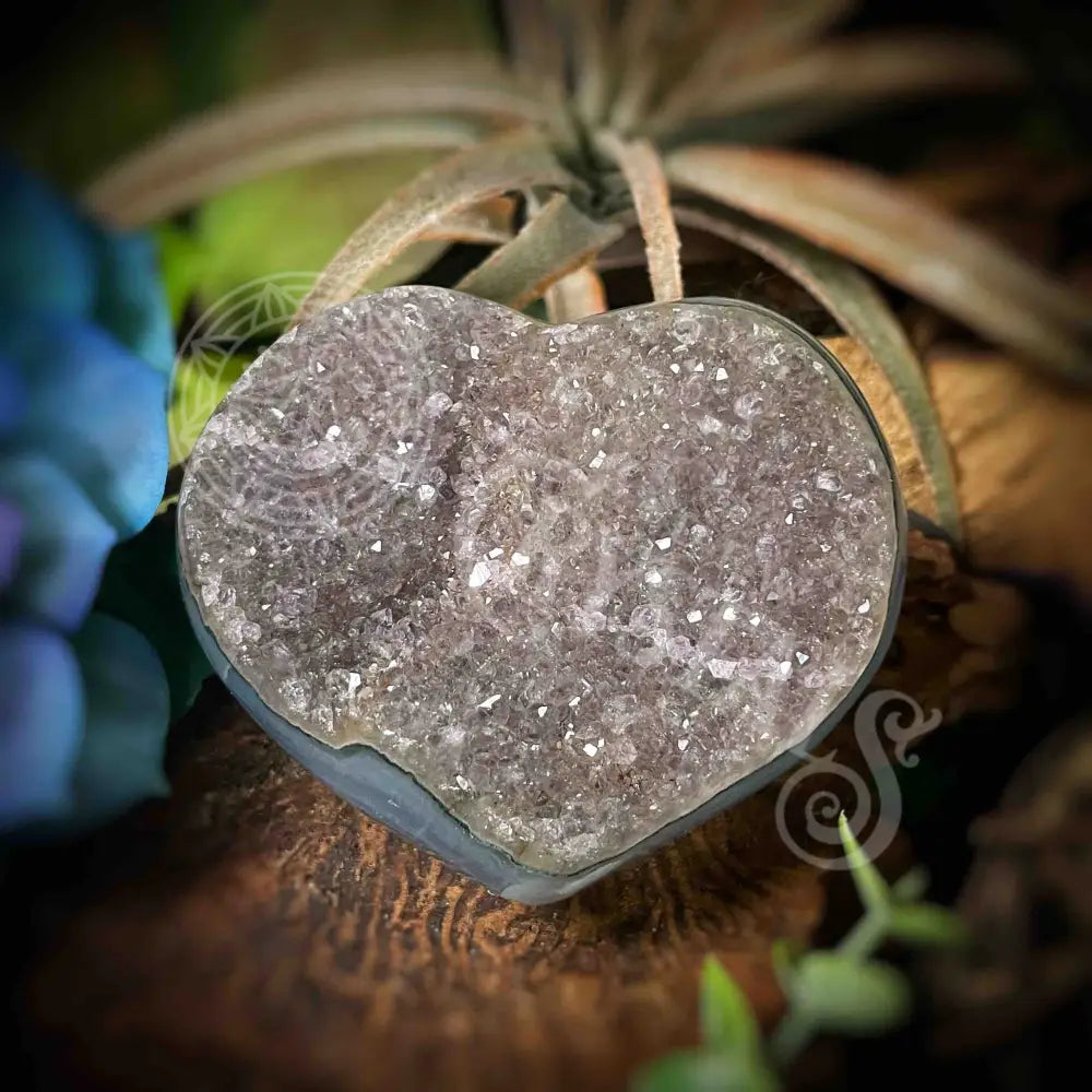 Amethyst Druzy Heart - F371 F371-Amdzht Crystals