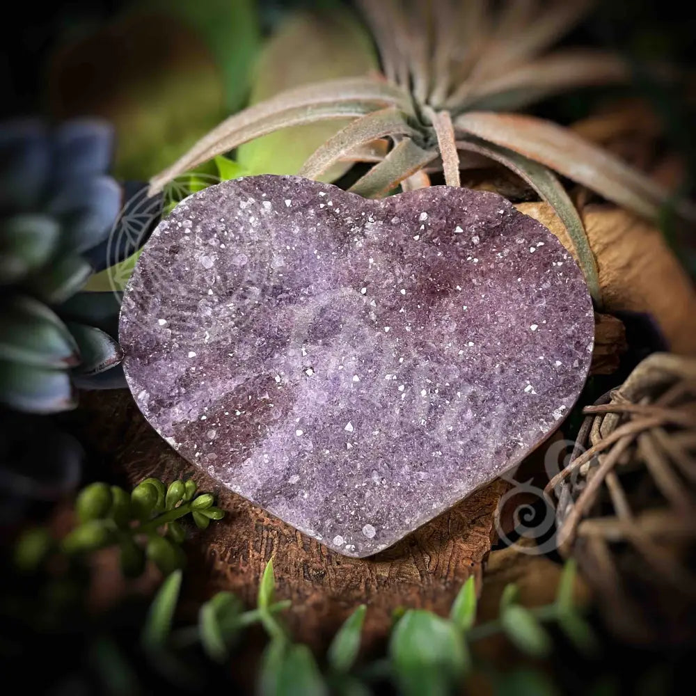 Amethyst Druzy Heart - F387 F387-Amdzht Crystals