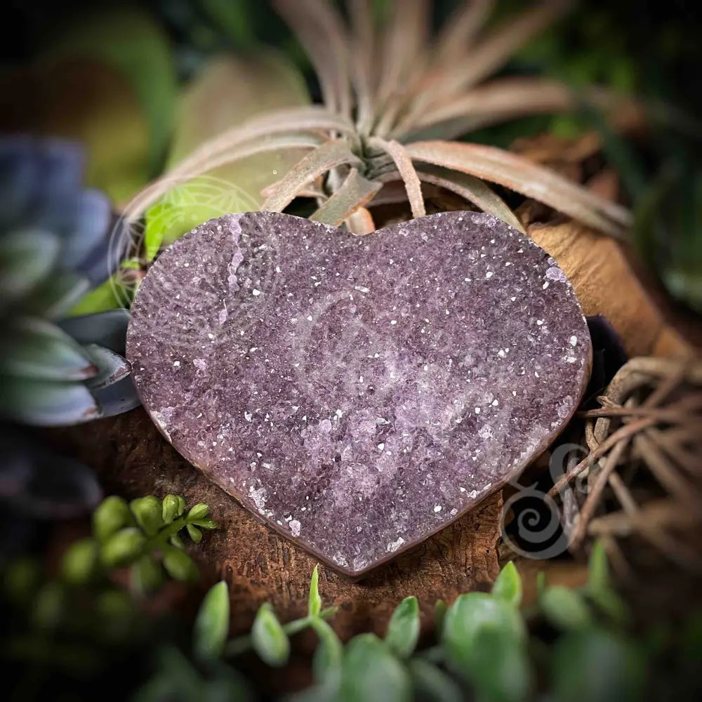 Amethyst Druzy Heart - F389 F389-Amdzht Crystals