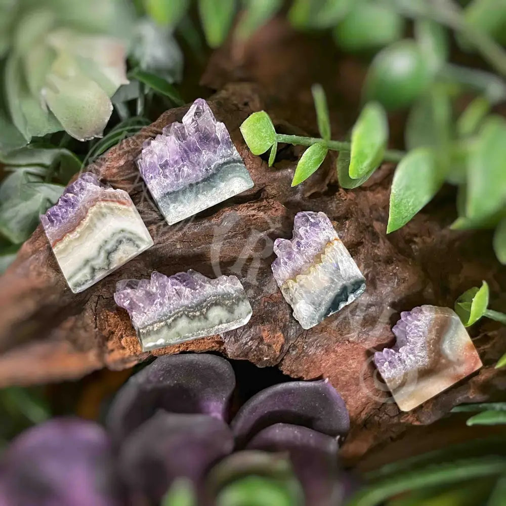 Slice - Amethyst Small Crystals