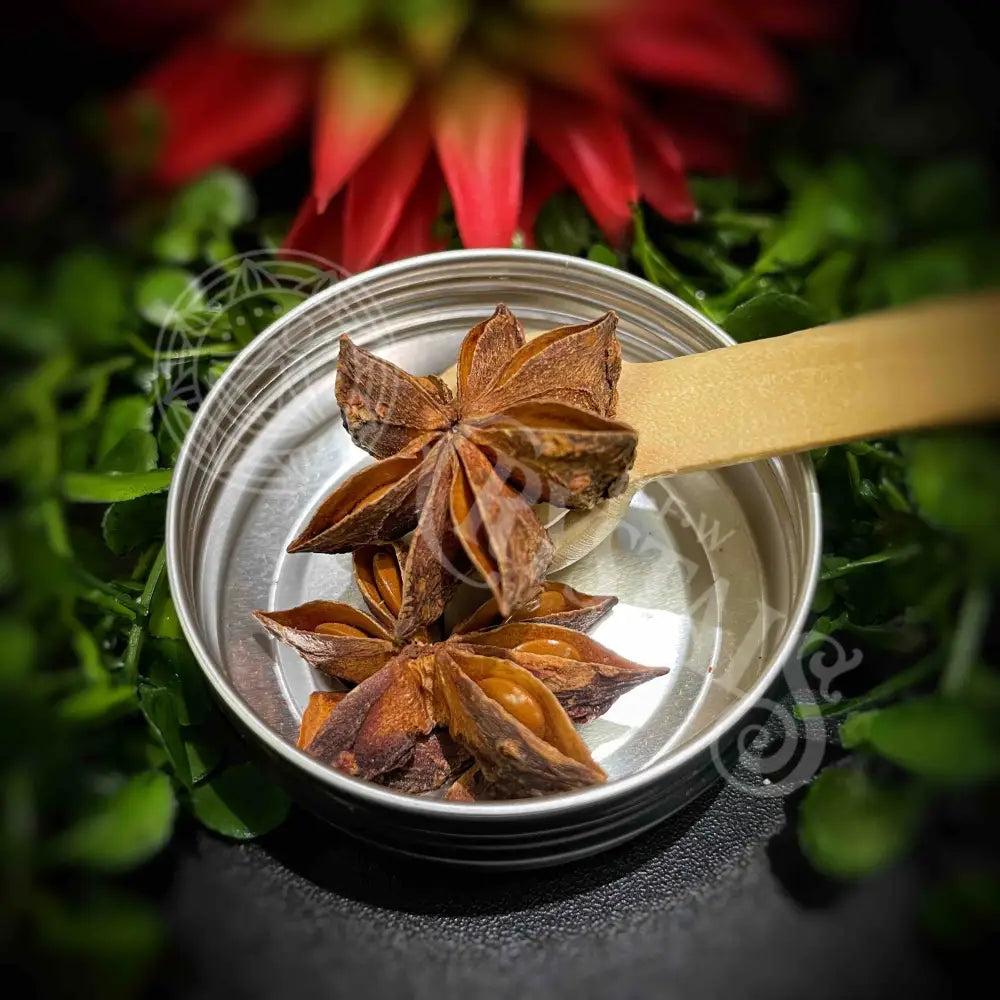 Anise - Whole Star Incense Loose Leaf