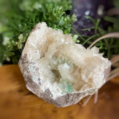 Specimen - Apophyllite Multiple Sizes A Crystals Specimens