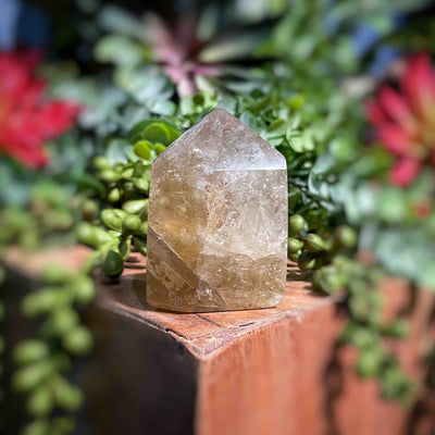 Citrine (Natural) - Points/Towers/Obelisks