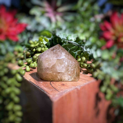 Citrine (Natural) - Points/Towers/Obelisks