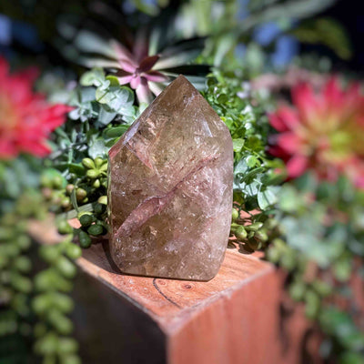 Citrine (Natural) - Points/Towers/Obelisks