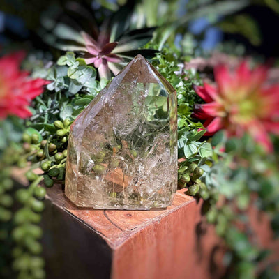 Citrine (Natural) - Points/Towers/Obelisks