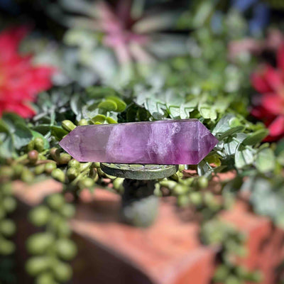 Fluorite - Double Terminated Points - Set 1