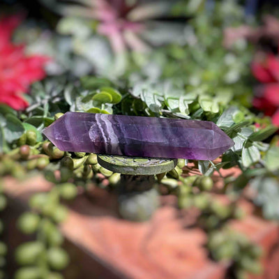 Fluorite - Double Terminated Points - Set 2