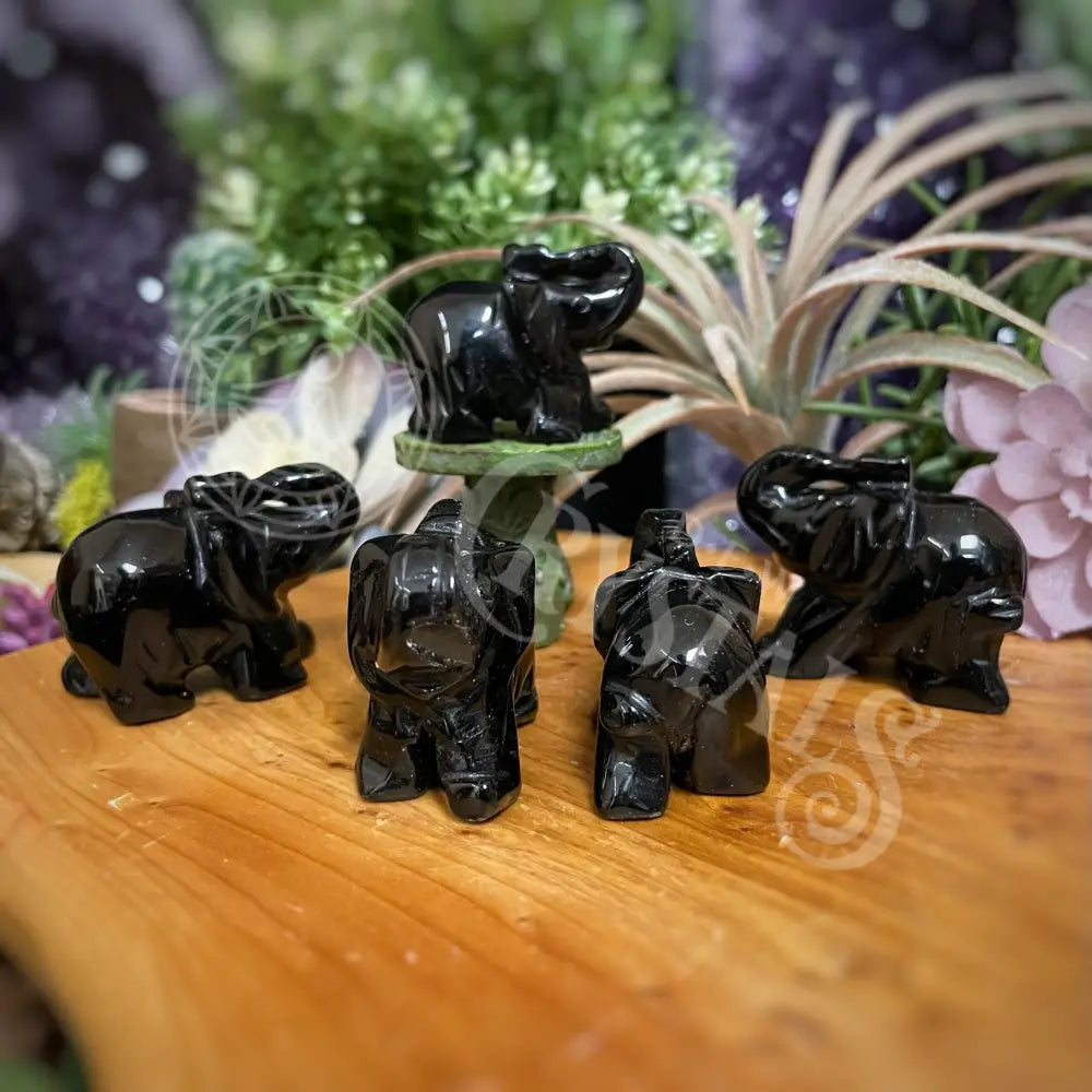 Animal - Elephant Black Obsidian 2 Crystals Carvings