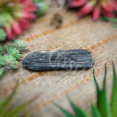 Raw - Black Tourmaline Log Multi Sizes A 3.75 Crystals