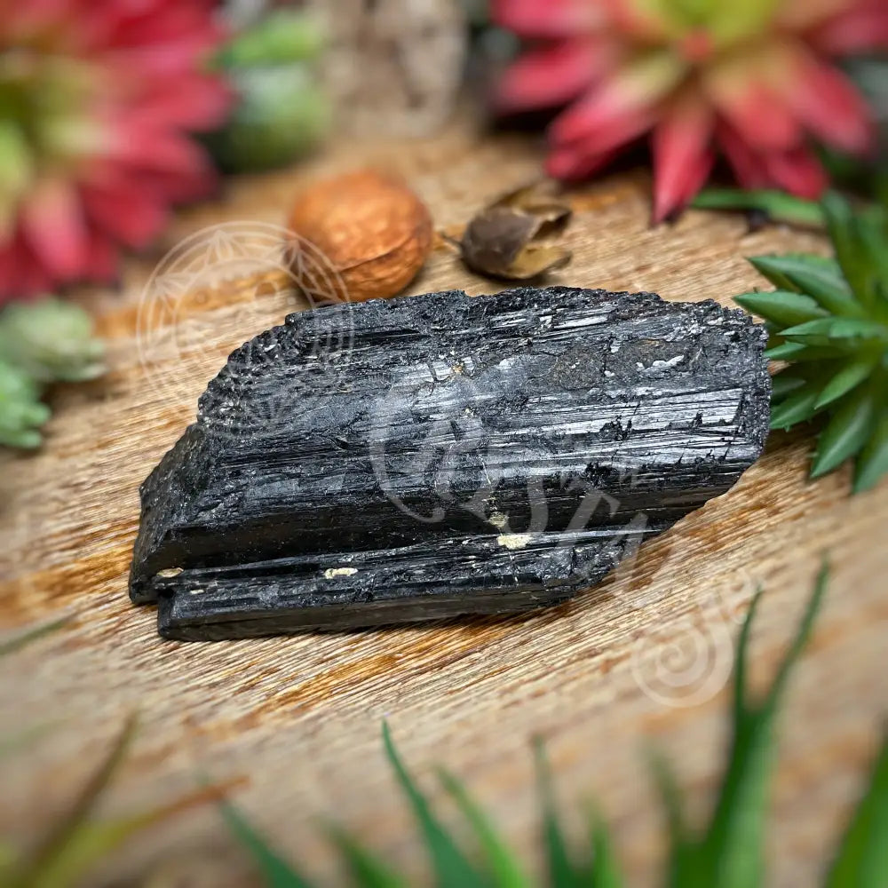 Raw - Black Tourmaline Log Multi Sizes J 4.0 Crystals