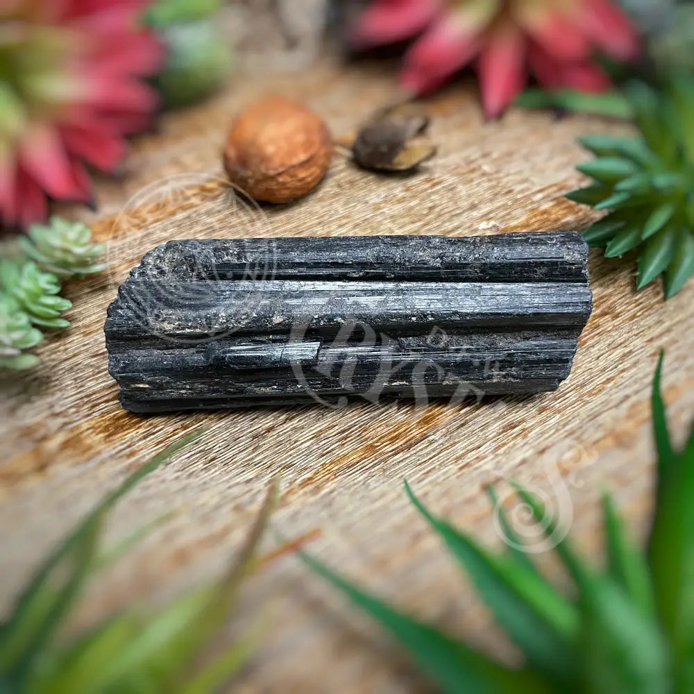 Raw - Black Tourmaline Log Multi Sizes M 4.0 Crystals