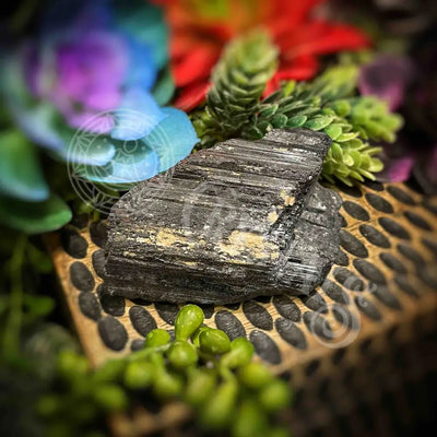 Black Tourmaline Log - Multi Sizes Raw Set 2 E075 Br 2.5’’ Crystals