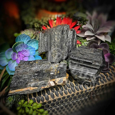 Black Tourmaline Log - Multi Sizes Raw Set 2 E077 Bt 2.3-3.8’’ Crystals