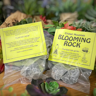 Blooming Rock - Grow Your Own Crystal Formations Accessories