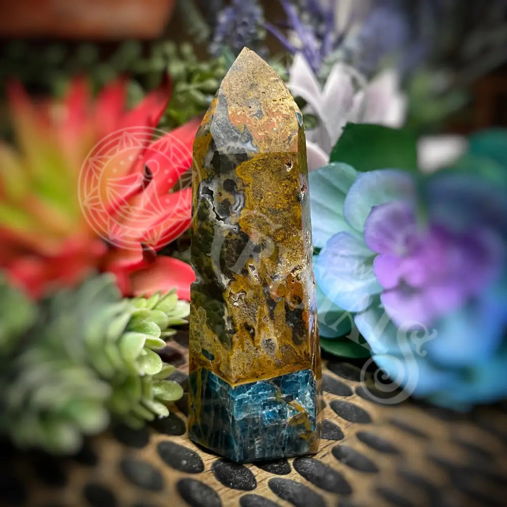 Blue Apatite In Jasper - Rare Point Tower Obelisk 2.0’’ 3.5’’ B902 Crystals