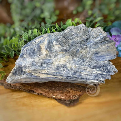 Raw - Blue Kyanite Large E 7.9’ X 4.9’ 3.4’ Crystals