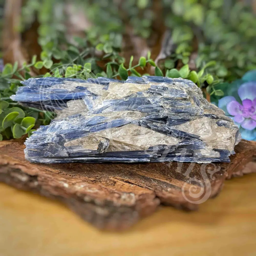 Raw - Blue Kyanite Medium H 6.7’ X 2.5’ 1.6’ Crystals