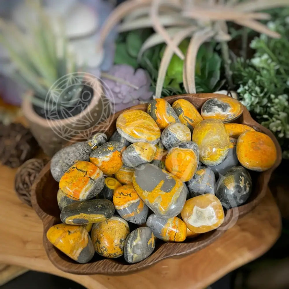 Tumbled - Bumblebee Jasper 0.75 1.5 Crystals