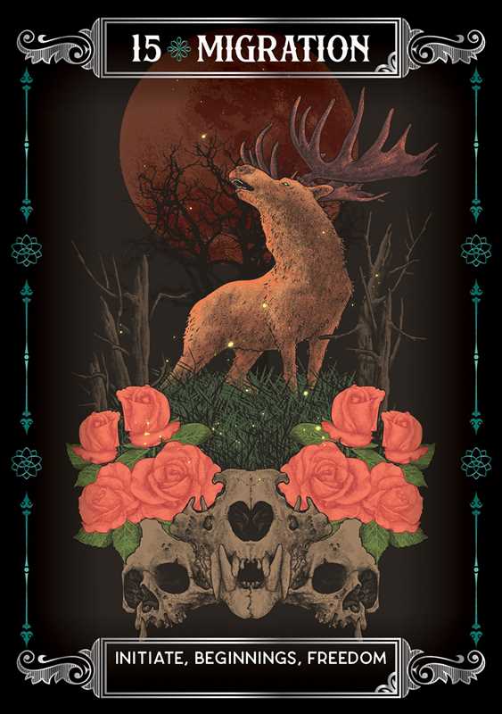 Earth & Bone Oracle by Sirian Shadow: Flashcards; 112 pages / English