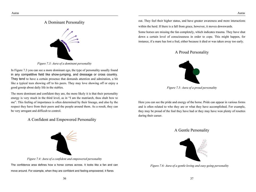 Energy Medicine for Animals by Diane Budd: Paperback; 192 pages / English