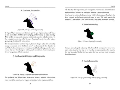 Energy Medicine for Animals by Diane Budd: Paperback; 192 pages / English