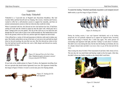 Energy Medicine for Animals by Diane Budd: Paperback; 192 pages / English