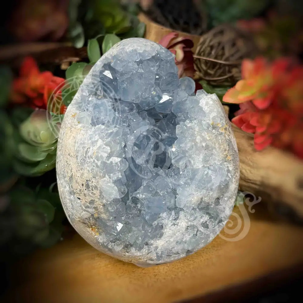 Celestite Egg - 7’ X 2.75’ 4.2’ Crystals Eggs