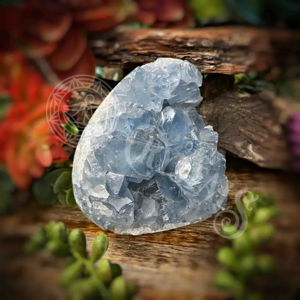 Celestite Free Form - 3.5’ X 3’ 2.2’ Crystals Freeform