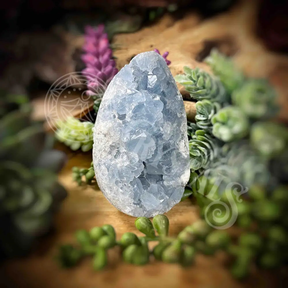 Celestite Free Form - 3.3’ X 1.8’ Crystals Freeform