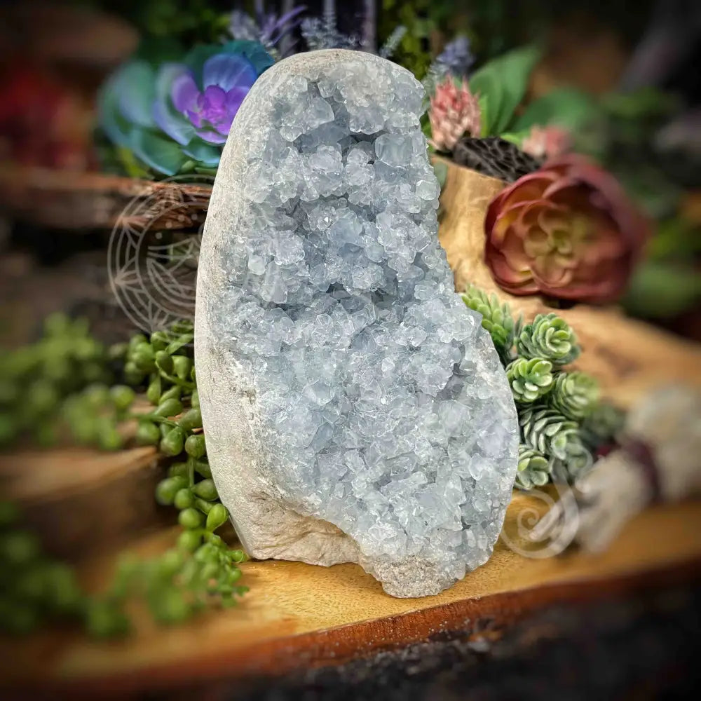 Celestite Free Form - 6’ X 3.5’ 3’ Crystals Freeform