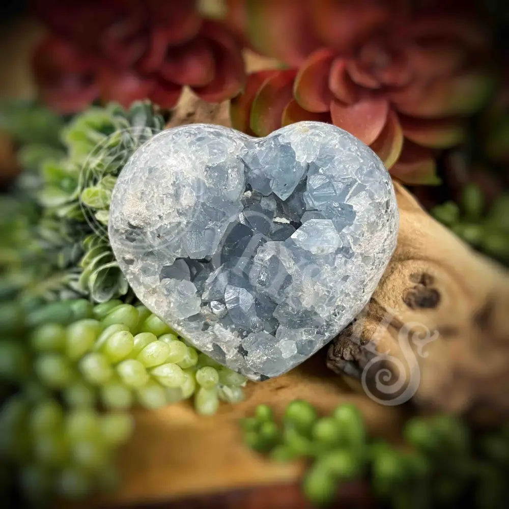 Celestite Heart - 2.8’ X 2.5’ 2’ Crystals