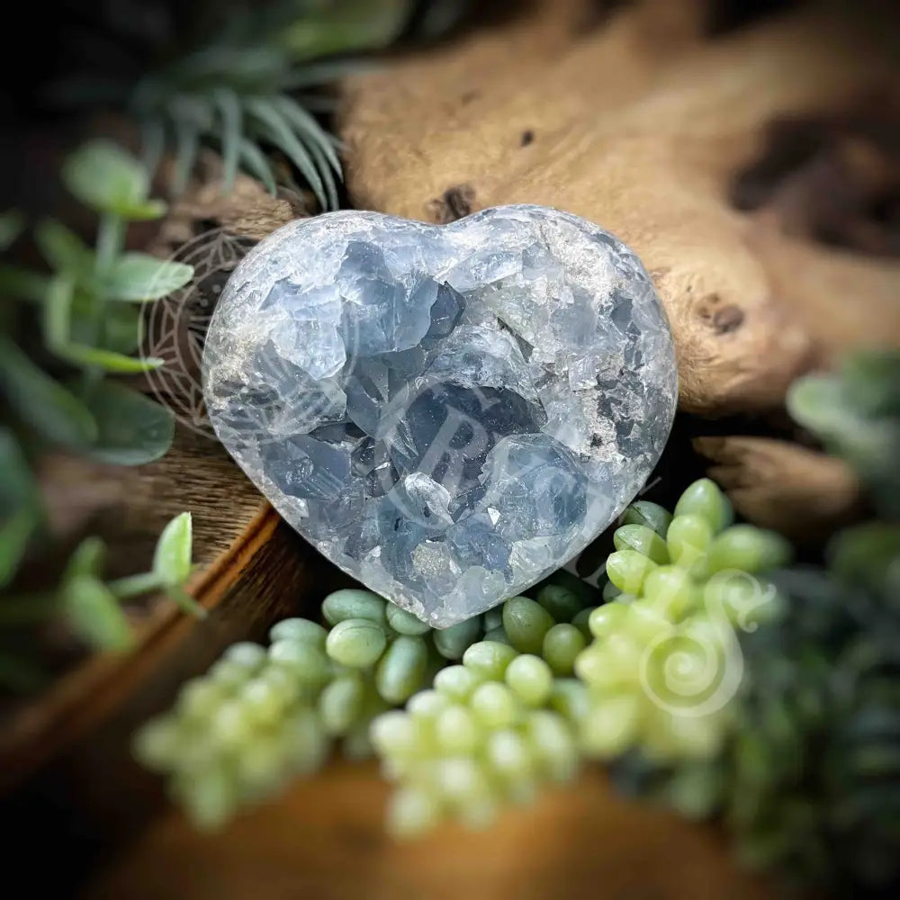 Celestite Heart - 2.8’ X 2.5’ 2’ Crystals