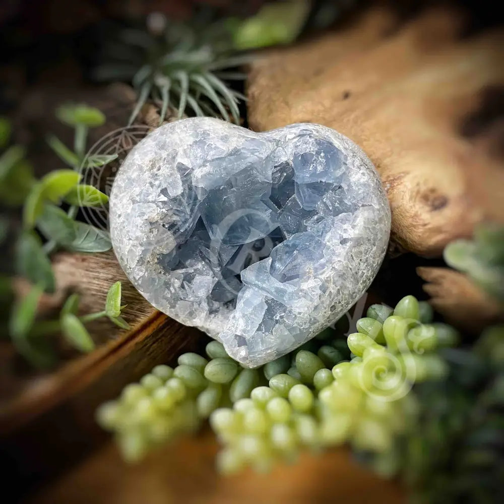 Celestite Heart - 3’ X 2.8’ 2.1’ Crystals