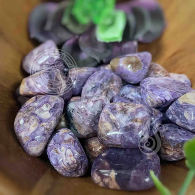 Tumbled - Charoite.05’ 1.25’ Crystals