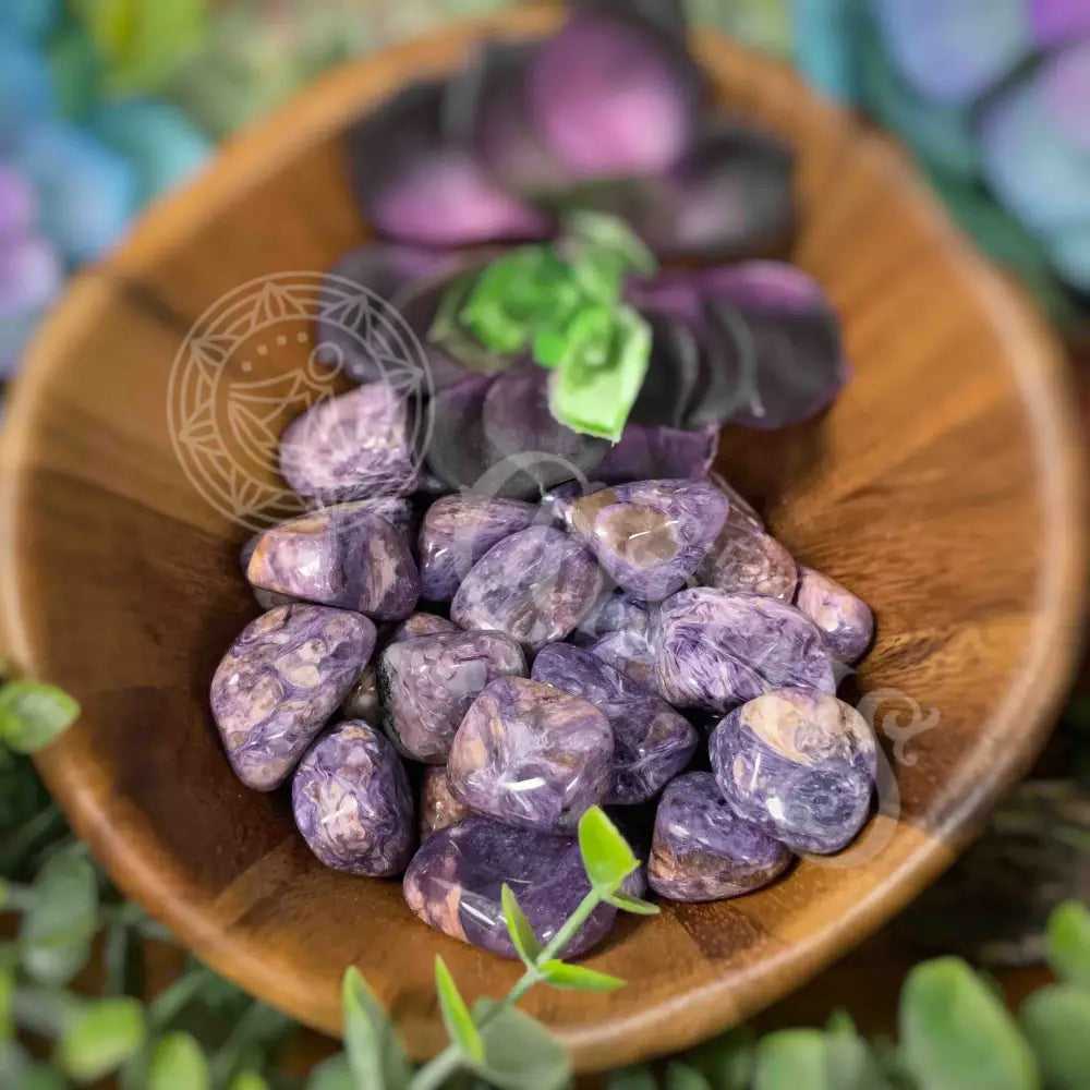 Tumbled - Charoite.05’ 1.25’ Crystals